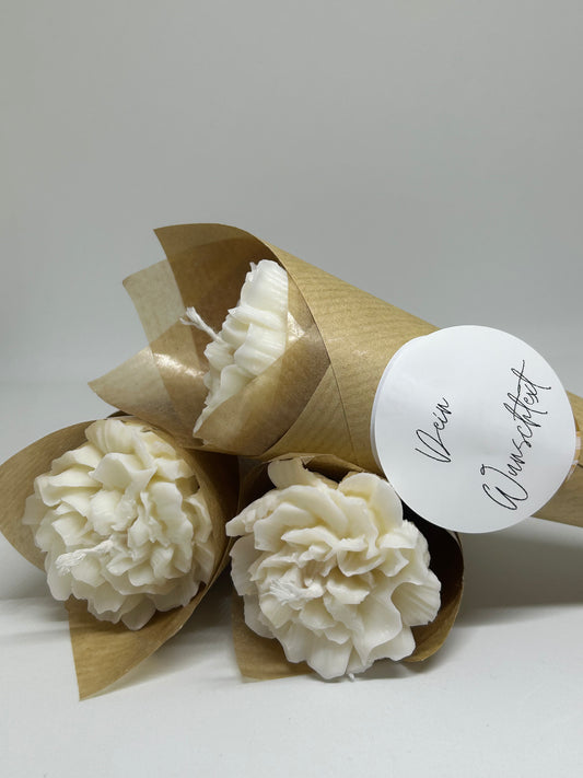 Blume Gastgeschenk